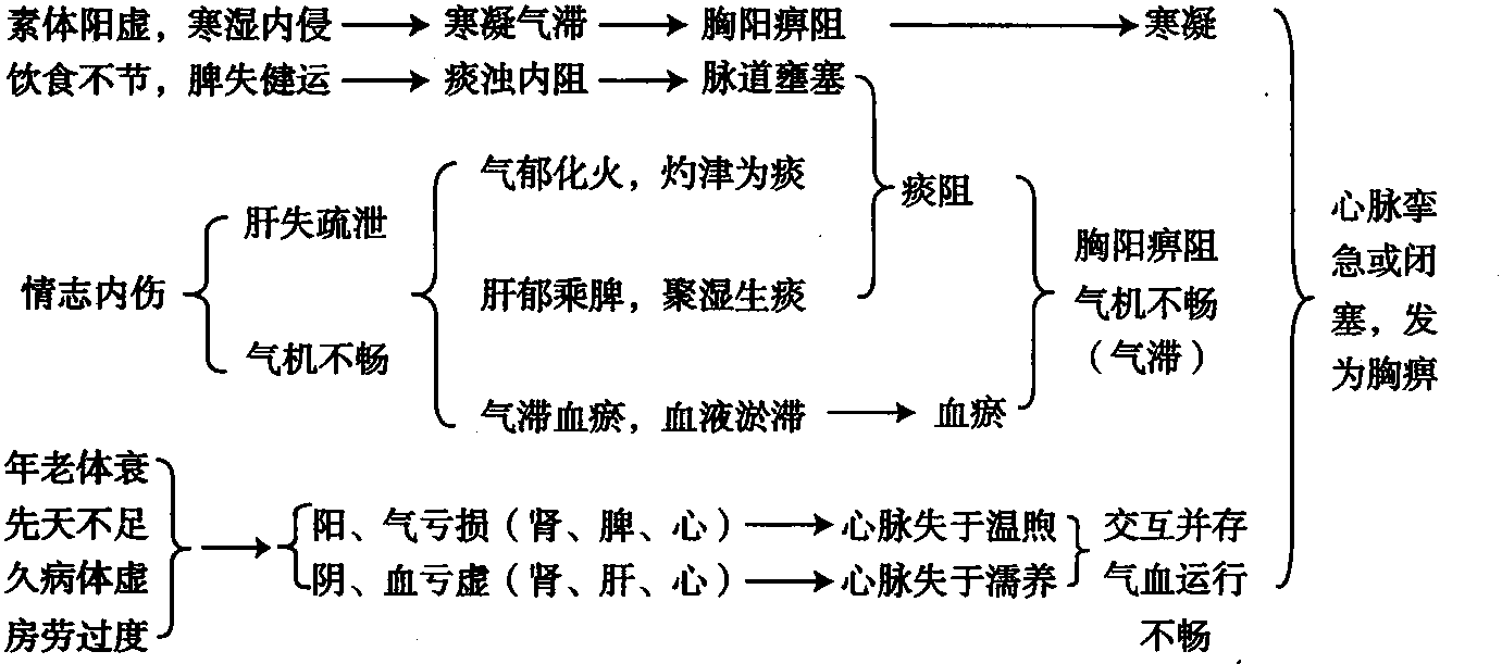第二節(jié) 胸痹